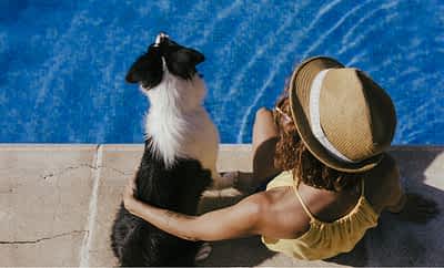 Partir en vacances avec votre chien ou votre chat en Provence